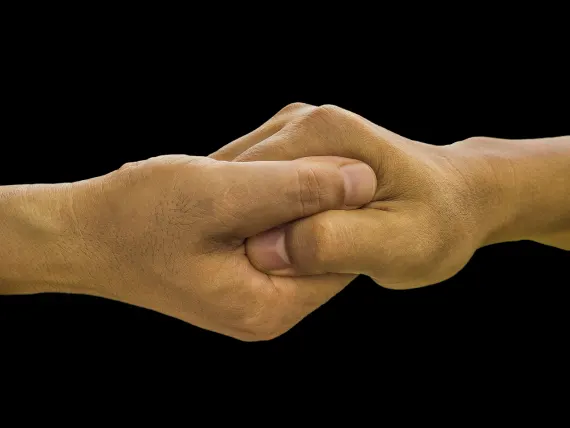 Arlekin Casino Supporto